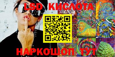 гашик Новозыбков