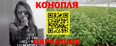 гашик Новозыбков
