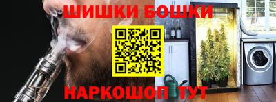 гашик Новозыбков