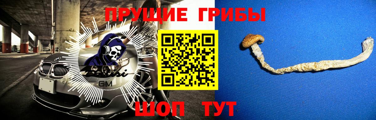 Галлюциногенные грибы GOLDEN TEACHER Саянск