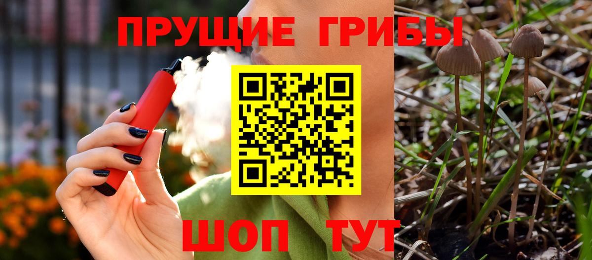 Саянск  Галлюциногенные грибы ЛСД  Вход с VPN 